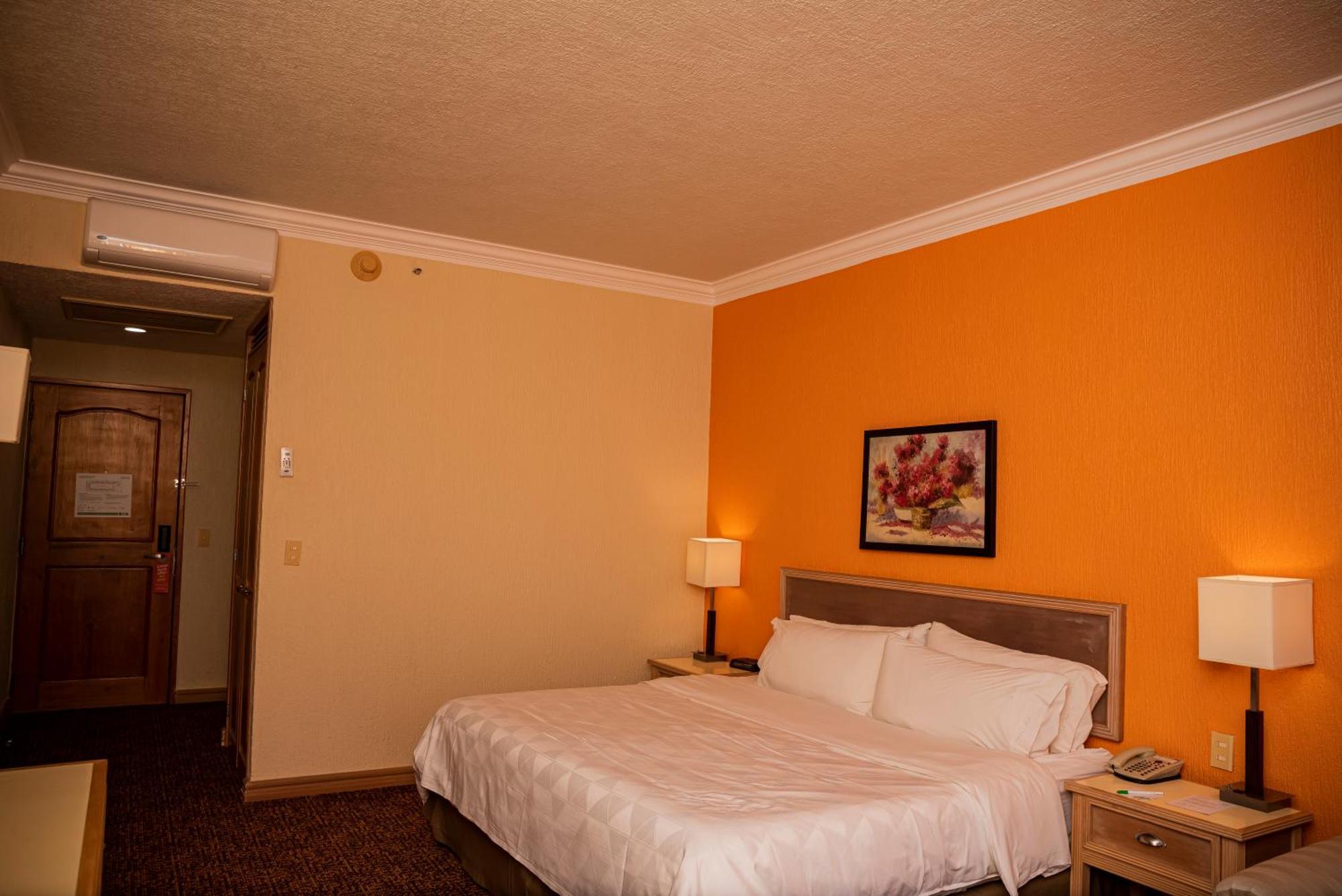 Holiday Inn La Piedad By Ihg Exterior foto
